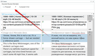 Screenshot of the DSI Viewer application displaying document structure information with a red arrow pointing to a specific text segment.