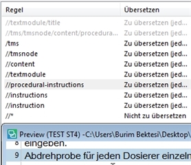 Close-up of Trados Studio translation rules with a focus on the instruction tag path and a preview of the text to be translated.