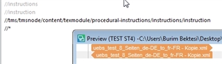 Trados Studio XPath configuration with a floating preview window showing the file path and partial content of the XML file.