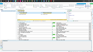 Trados Studio interface with a project creation wizard open, srt file extension option visible, no errors shown.