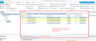 Trados Studio Editor View with a custom view tab open showing comments column with entries like 'Comment on ID 3', 'Comment on ID 2', and 'Comment on ID 1'. A red box highlights the custom view area.
