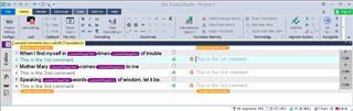 Screenshot of Trados Studio after clicking the OneClick plugin icon, with a highlighted comment indicating the plugin's action.