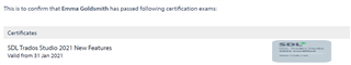 Blurred and stretched certification image for SDL Trados Studio 2021 New Features, making text illegible. Grey background with low contrast.