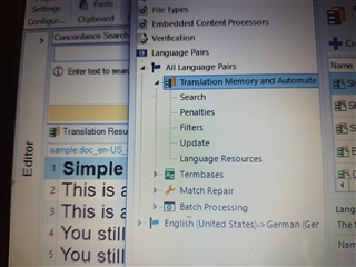 Screenshot of SDL Trados Studio 2017 SP1 showing the 'Project Template Settings' under 'Language Pairs' with 'Translation Memory and Automated Translation' expanded but 'AutoSuggest Dictionaries' option not visible.