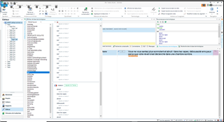 Screenshot of Trados Studio editor window showing an error message indicating that the source term and target terms are being multiplied and the target language French appears twice.