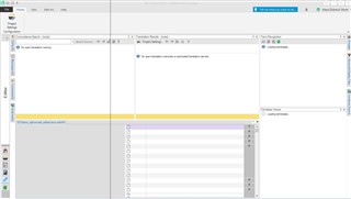 Screenshot of SDL Trados Studio 2019 SR2 with a strange vertical line visible on the program's launch screen, which disappears upon clicking in the Editor view.