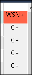 Screenshot showing Trados Studio DSI information column with multiple 'C+' entries indicating Excel cells, and a 'WSN+' entry at the top.