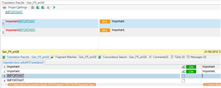 Trados Studio screenshot showing Translation Results pane with two 100% match results highlighted in yellow, one labeled 'Important' and the other 'IMPORTANT'. No visible errors or warnings.