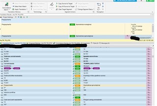 Trados Studio screenshot showing the Translation Memory view with multiple entries highlighted, some with 100% match and others with 99% match, despite no visible differences.