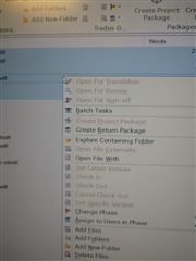 Trados Studio screenshot showing a right-click context menu with 'Open For Translation' and 'Open For Review' options greyed out and unclickable.