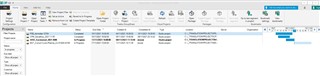Trados Studio interface showing a project with added columns in the project view. No visible errors or warnings.
