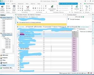 Screenshot of Trados Studio interface showing an error message 'No matches found; No lookup performed' in the Translation Memory Cloud.