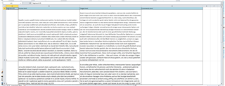 Screenshot of Trados Studio plugin error showing a new file with incorrect visual format and altered column names.