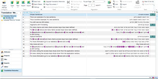 Screenshot of Trados Studio with a Translation Memory view showing multiple entries, some with warning icons indicating issues with the source or target language.