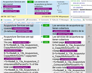 Screenshot of Trados Studio showing a confirmed translation unit with multiple custom fields, including an updated 'SOT' text field marked as 'Y'.