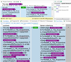 Screenshot of Trados Studio displaying a confirmed translation unit where only the 'SOT' custom field is visible, set to 'Y', while other fields like 'Coordinates' and 'Source' are missing.