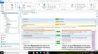 Trados Studio interface with an error message in red under the 'Introduction' section indicating a missing file.