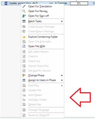 Screenshot of Trados Studio 2019 showing the update file feature menu with all options greyed out, indicating they are deactivated.