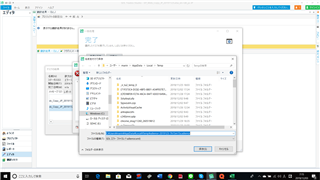 Trados Studio screenshot showing a project management window with a list of files. A file import settings dialog box is open with options for file type and encoding.