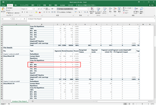 Excel report from translation agency showing 2 fuzzy match segments in chapter 1 highlighted in red.