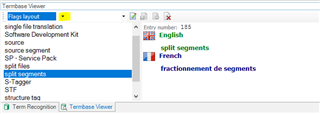 Trados Studio screenshot displaying the Term Recognition window with the Flags layout selected, showing an English term and its French translation.