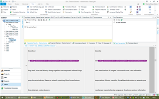 Screenshot of Trados Studio 2017 showing large spacing between lines in the Editor view with highlighted text segments.