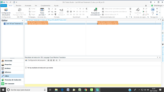 Trados Studio editor view showing an sdlxliff file with double-reverted orange arrow tags indicating an error in both source and target language sections.
