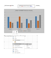 Word document in Trados Studio after selecting 'Edit Data' from the context menu, showing the embedded Excel spreadsheet with target text.