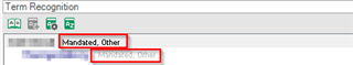 Screenshot of Trados Studio's Term Recognition panel with 'Marked, Other' highlighted in red indicating a selection or error.