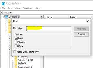 Registry Editor's Find dialog box with the 'Find what' field highlighted, ready for input.