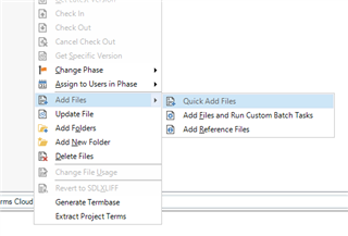 Trados Studio menu with 'Add Files' option highlighted, showing sub-options including 'Quick Add Files'.