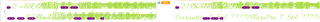 Screenshot of Trados Studio with text display issues, showing overlapping green lines and purple boxes obscuring the text.