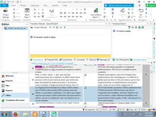 Trados Studio editor with another active segment showing text and numbers with no highlighting or errors.
