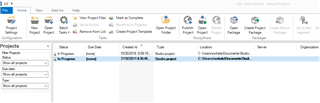 Trados Studio interface showing the Projects view with one project listed, including columns for Name, Due Date, Created At, and Type.