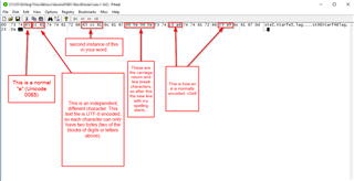 Screenshot of Notepad++ showing a detailed analysis of two different encoding methods for the same-looking word.