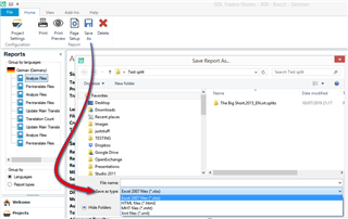 Trados Studio screenshot showing the 'Save Report As' dialog box with a list of folders on the left and a file named 'The Big Short_2011_EN-DE.sdlxliff' selected on the right.