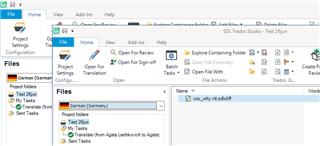 Screenshot of Trados Studio interface showing the 'Files' view with a project folder expanded to reveal a file named 'EN-DE_onlyMyMemoryTM.sdlxliff'.
