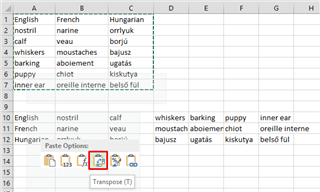 Screenshot of an Excel spreadsheet with two tabs showing. The first tab has columns labeled A to H with words in English, French, and Hungarian. The second tab shows the Transpose option highlighted in the Paste Options menu.