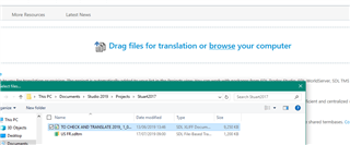 Trados Studio 'Projects' view with a folder named 'ShaneXYZ' containing files including 'Project 1.sdlproj' and 'Project 1.sdlxliff'.