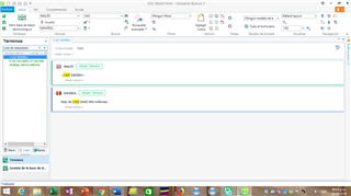MultiTerm window with a search field displaying no results for the term 'CAN' despite being in the glossary.