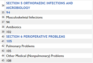 Table of contents in MS Word with section titles and page numbers not properly segmented for translation.