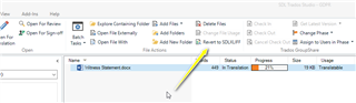 Trados Studio interface with a file marked as '411 Translated', indicating the file status and progress.