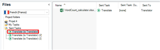 Trados Studio interface with an error message 'DO NOT rename this manually' highlighted in red under 'My Tasks' in a project.