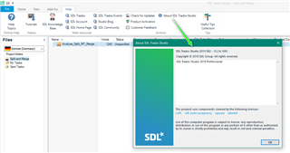 Screenshot of Trados Studio showing the 'About Trados Studio' window with version number 2019 SR2 15.2.0.1041 displayed.