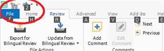 Screenshot of Trados Studio's ribbon menu with the 'File' tab circled, showing no visible errors or warnings.