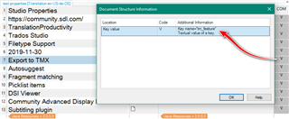 Trados Studio screenshot showing the Document Structure Information window with an arrow pointing to the 'Key name' text.