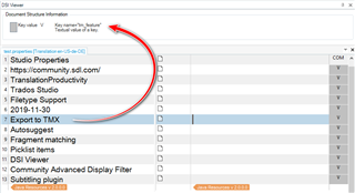 Trados Studio interface with the DSI Viewer plugin displaying the 'Key name' information within the document structure column.