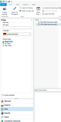 Trados Studio interface showing the Files View with one file labeled OLD and another labeled NEW in a project folder.