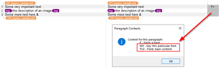 Trados Studio error message indicating a problem with the paragraph content, highlighting the issue with the phrase key 'this particular item' in the main content field.