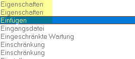 Screenshot of Trados Studio showing a list of terms with the term 'Einf gen' highlighted in yellow.